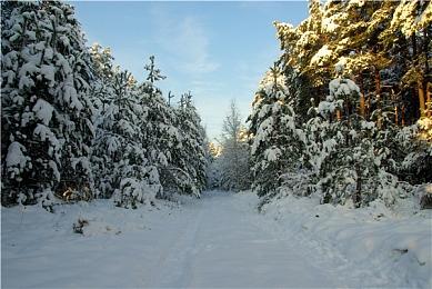 《木卫四协议》开发商开始为虚幻5新游戏招聘人员