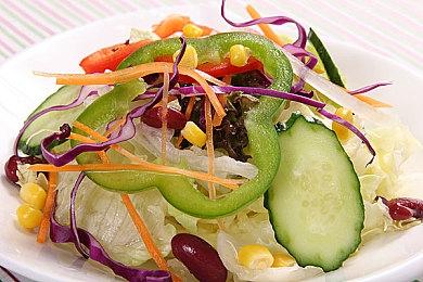 《怪物猎人：荒野》19分钟试玩视频 海量情报释出